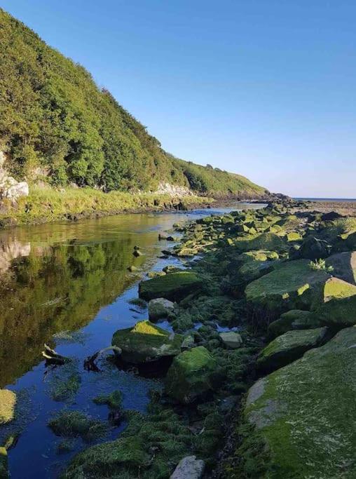 Mounvaud Lodge Stradbally  Ngoại thất bức ảnh